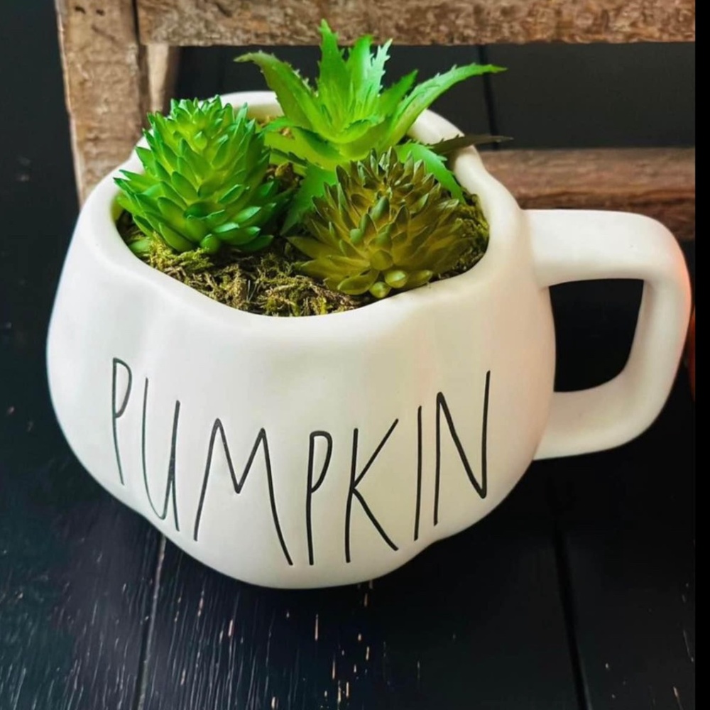 Rae Dunn Pumpkin Mug Succulent Garden